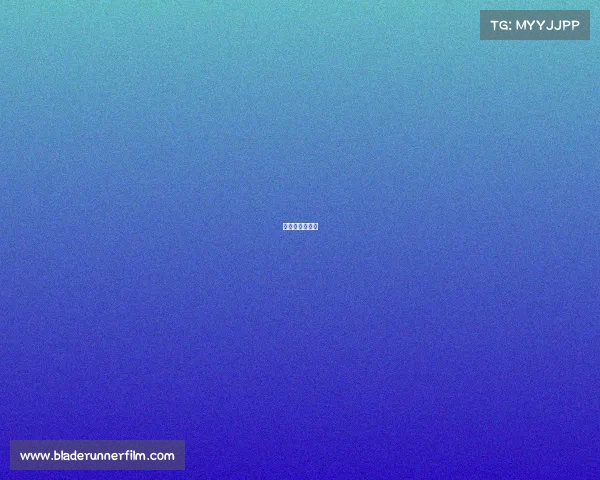 卡丁车赛事总结