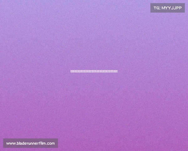 探究张继科乒乓球赛场辉煌数据：历年世界大赛战绩全面分析与统计