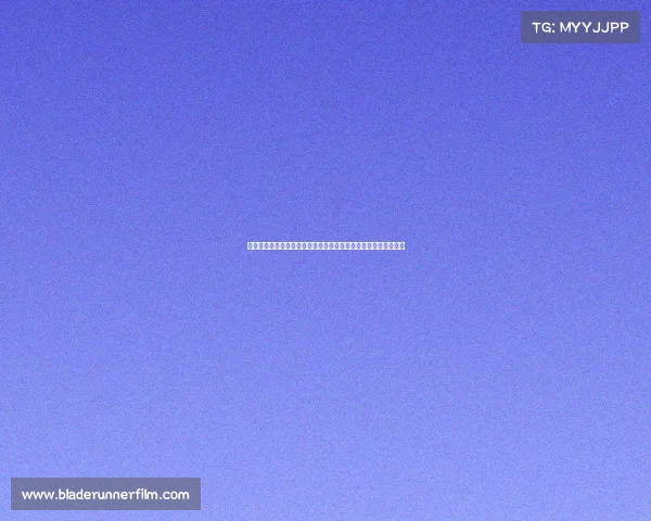 聚焦荷兰兹沃勒年度体育赛事足球与自行车双项盛典精彩不容错过