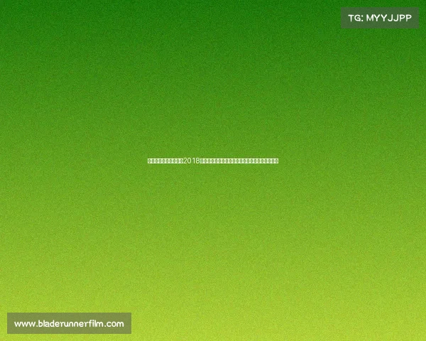 合肥亲子活动的网站—2018合肥亲子趣味运动会：全家齐上阵快乐运动共成长