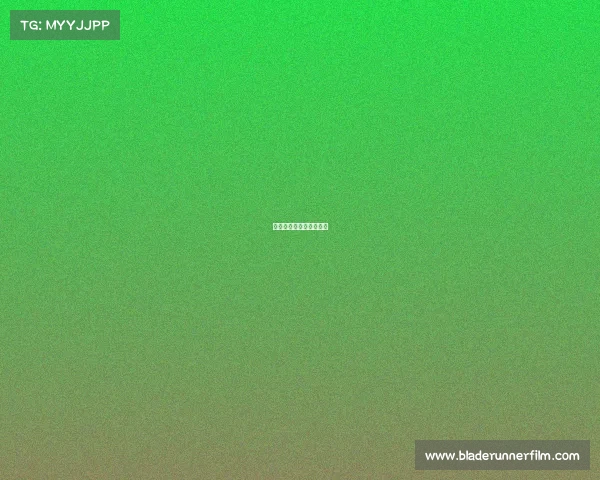 辽宁女排今天比赛时间？