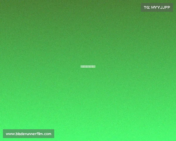 鲁能主场近期赛事比分